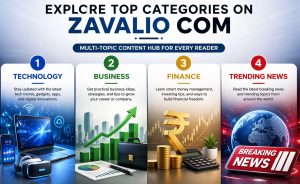 Core Categories Covered by Zavalio com